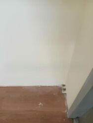 81 WHAMPOA DRIVE (D12), Shop House #594029831